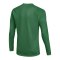 Nike Park VIII Trikot langarm Grün F302 - gruen