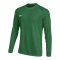 Nike Park VIII Trikot langarm Grün F302 - gruen