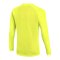 Nike Park VIII Trikot langarm Grün F702 - gruen