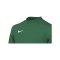 Nike Park VIII Trikot langarm Kids Grün F302 - gruen