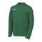 Nike Park VIII Trikot langarm Kids Grün F302 - gruen