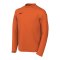 Nike Park VIII Trikot langarm Kids Orange F819 - orange