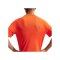 Nike Park VIII Trikot Orange F819 - orange