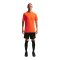 Nike Park VIII Trikot Orange F819 - orange