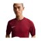 Nike Park VIII Trikot Rot F677 - rot