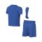 Nike Park VIII Trikot Set Kids Blau F463 - blau