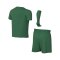 Nike Park VIII Trikot Set Kids Grün F302 - gruen
