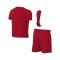 Nike Park VIII Trikot Set Kids Rot F657 - rot