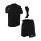 Nike Park VIII Trikot Set Kids Schwarz F010 - schwarz