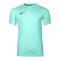 Nike Park VIII Trikot Türkis F354 - tuerkis