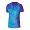 Nike Precision VI Trikot Kids Lila F547 - lila