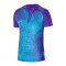 Nike Precision VI Trikot Lila F547 - lila