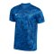 Nike Precision VII Trikot Kids Blau F463 - blau