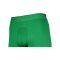 Nike Pro Strike Short Grün Weiss F302 - gruen