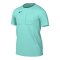 Nike Referee Schiedsrichtertrikot Türkis Schwarz F354 - tuerkis