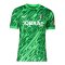 Nike SC Freiburg Torwarttrikot 2025/2026 Grün F329 - gruen