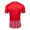 Nike SC Freiburg Trikot Home 2026/2027 Kids Rot F657 - rot
