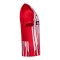 Nike SC Freiburg Trikot Home 2026/2027 Kids Rot F657 - rot