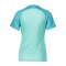 Nike Strike 3 Trikot Damen Grün F354 - gruen
