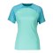 Nike Strike 3 Trikot Damen Grün F354 - gruen