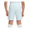 Nike Strike 24 Short Kids Blau F474 - blau