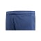 Nike Strike 24 Short Kids Blau Weiss F451 - blau