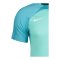Nike Strike III Trikot Grün F354 - gruen