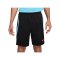 Nike Strike Short Schwarz F013 - schwarz