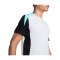Nike T-Shirt Grau F025 - grau
