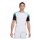 Nike T-Shirt Grau F025 - grau