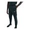 Nike Strike Trainingshose Grün F390 - gruen