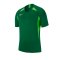 Nike Legend Trikot kurzarm Grün F302 - gruen