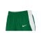 Nike Team Basketball Stock Short Damen Grün F302 - gruen
