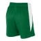 Nike Team Basketball Stock Short Damen Grün F302 - gruen