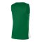 Nike Team Basketball Stock Trikot Damen Grün F302 - gruen