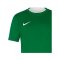 Nike Team Court Trikot Kids Grün F302 - gruen