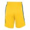 Nike Team Stock 20 Basketball Short Gelb F719 - gelb