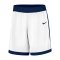 Nike Team25 Basketball Stock Short Weiß F101 - weiss