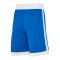 Nike Team25 Basketball Stock Short Kids Blau F463 - blau