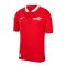 Nike TFF Polo Rot - rot
