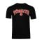 Nike TFF Türkei Biz Bitti Demeden Bitmez T-Shirt Schwarz Ftffcz0881bitmezschwarz - schwarz
