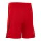Nike TFF Türkei Short Away WM 2026 Rot F614 - rot