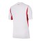 Nike TFF Türkei Authentic Trikot Away WM 2026 Weiß F100 - weiss