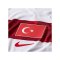 Nike TFF Türkei Authentic Trikot Away WM 2026 Weiß F100 - weiss