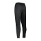 Nike Therma-FIT Academy Winter Warrior Hose F011 - schwarz
