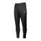 Nike Therma-FIT Academy Winter Warrior Hose F011 - schwarz