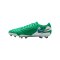 Nike Tiempo Legend X Elite FG Fear Nothing Grün F300 - gruen