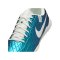 Nike Tiempo Legend X Academy TF Emerald Grün Beige F300 - gruen