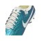Nike Tiempo Legend X Pro FG Emerald Grün Beige F300 - gruen