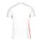 Nike Trikot Weiss Slim Fit F102 - weiss